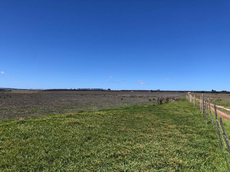 0 Bedroom Property for Sale in Baardskeerdersbos Western Cape